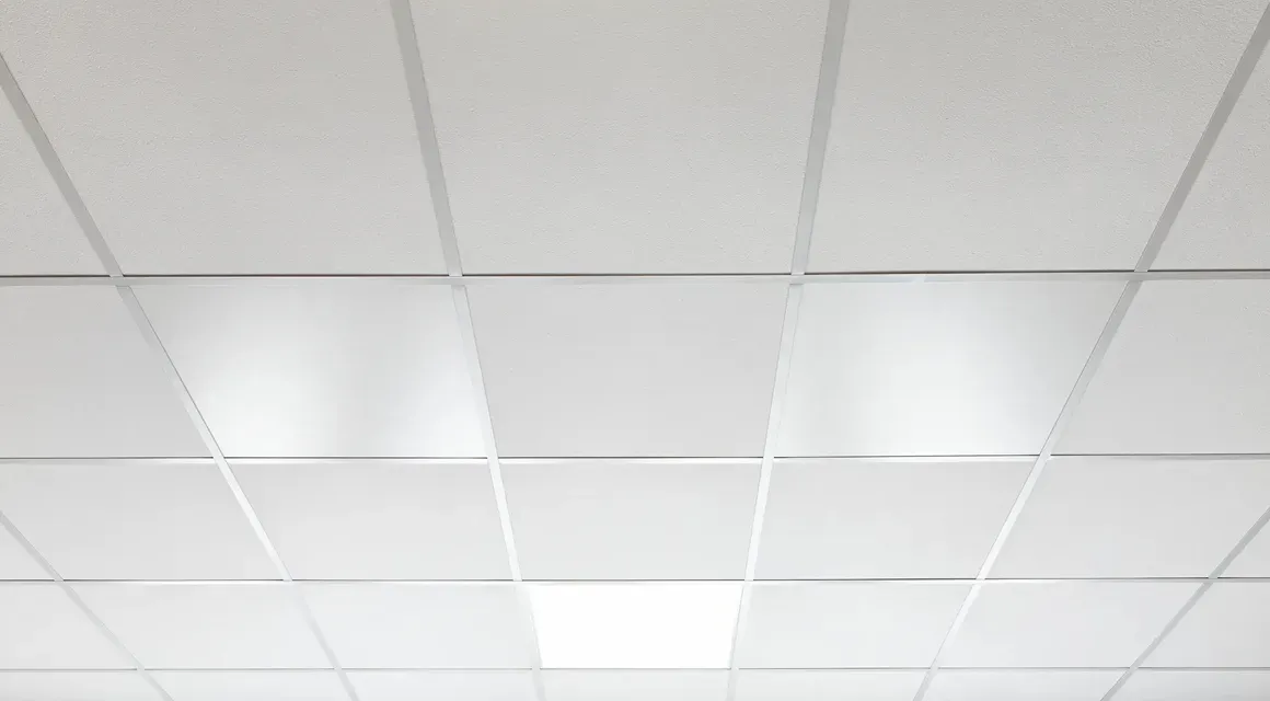 Infrarotheizung für die Decke